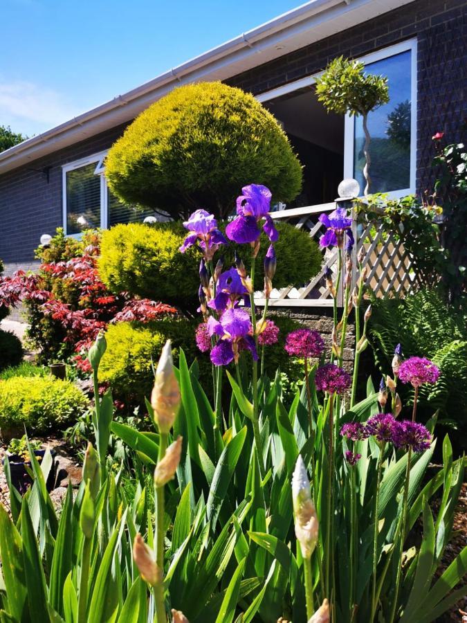 Down The Garden Path Vintage Caravan B&B , Dartmoor Newton Abbot Exterior photo