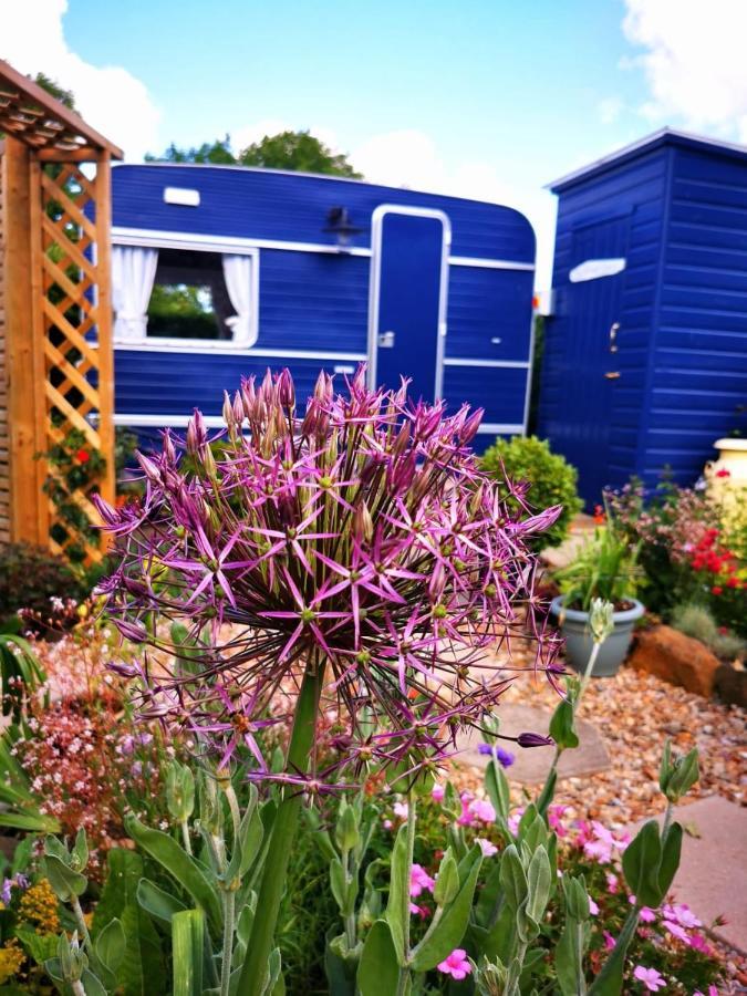 Down The Garden Path Vintage Caravan B&B , Dartmoor Newton Abbot Exterior photo